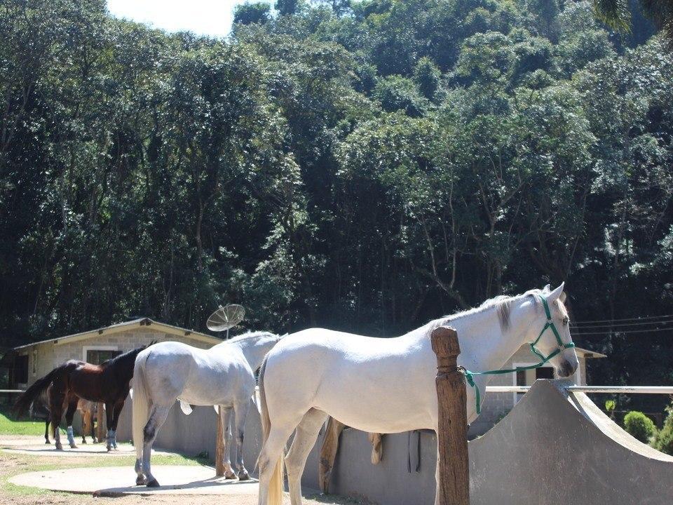 Hotel Fazenda Apm Caieiras Eksteriør billede